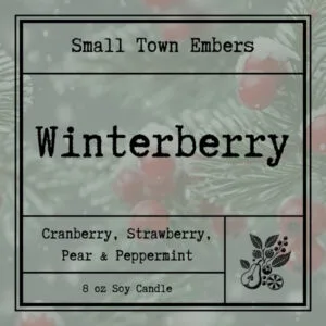 Winterberry Single Wick Candle