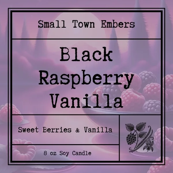 Black Raspberry Vanilla Single Wick Candle - Image 2