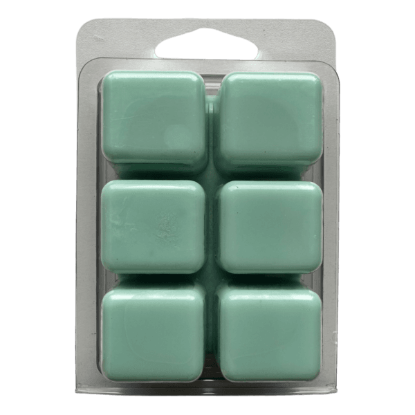 a picture of the back of a coastal sunrise scented wax melt
